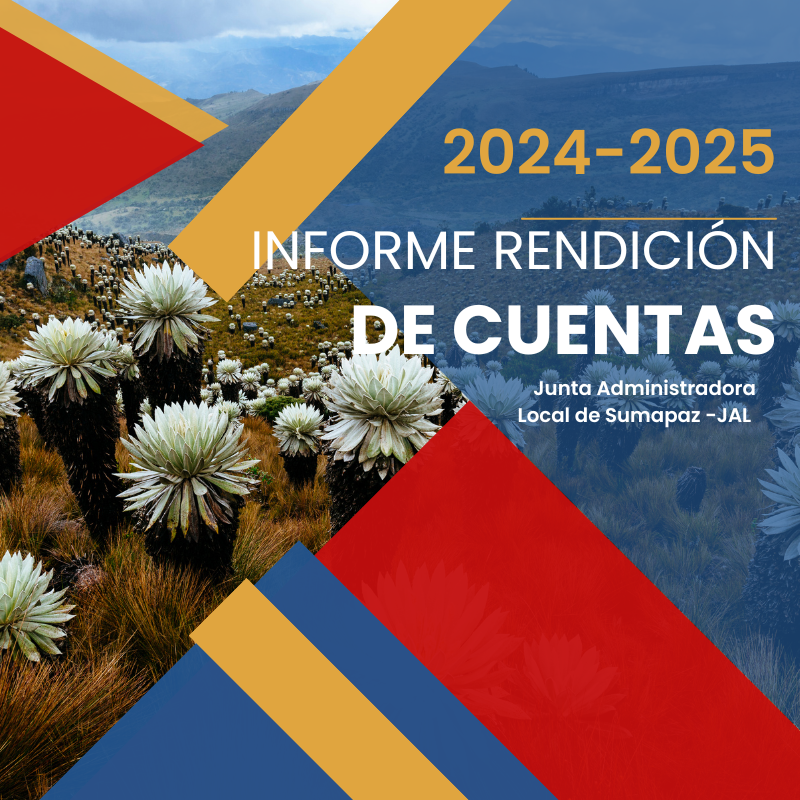 Informe Anual de Rendición de Cuentas JAL 2024-2025
