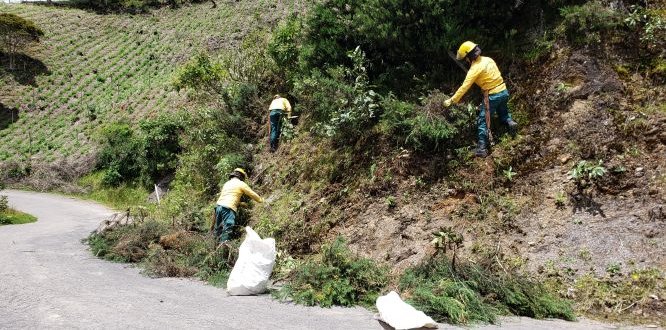 Articulación entre entidades dejó como resultado el éxito de la jornada