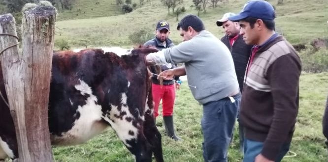 Equipo de profesionales de la ULATA realizan acompañamiento a sumapaceños