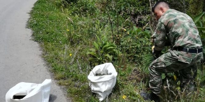 Articulación entre entidades dejó como resultado el éxito de la jornada