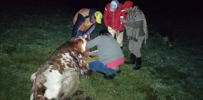 Equipo de profesionales de la ULATA realizan acompañamiento a sumapaceños
