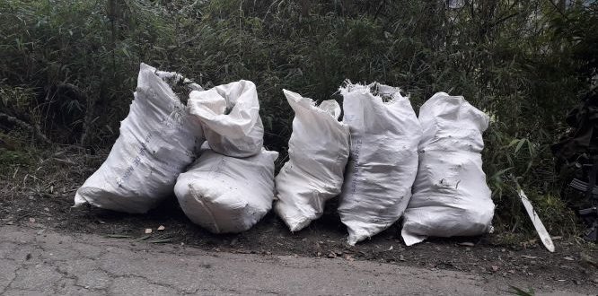 Articulación entre entidades dejó como resultado el éxito de la jornada