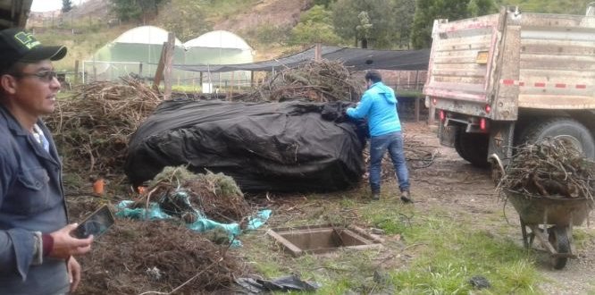 Articulación entre entidades dejó como resultado el éxito de la jornada