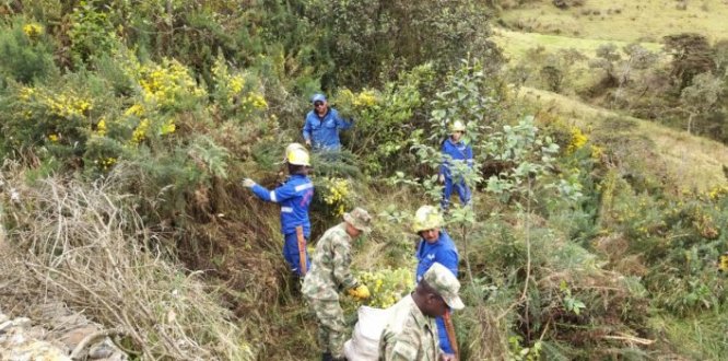 Jornada de control de Retamo Espinoso