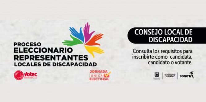 Consejo local de discapacidad Consejo Local de Discapacidad