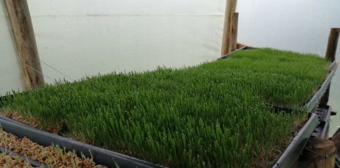 Equipo de profesionales de la ULATA realizan acompañamiento a sumapaceños