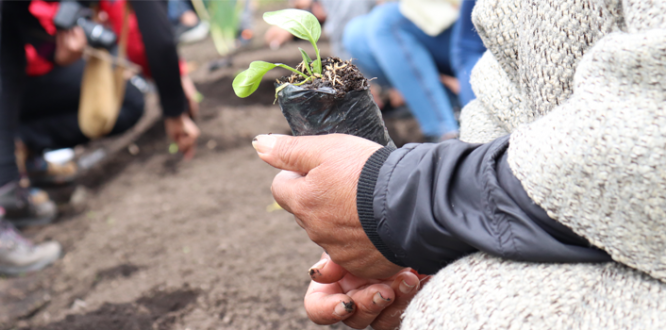 Sumapaz es declarada zona de reserva campesina