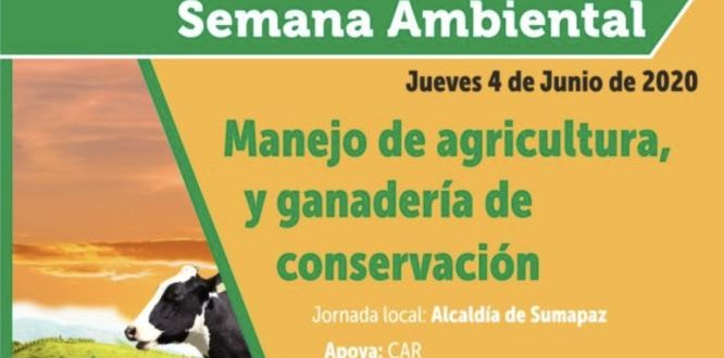 Semana ambiental, Cuarto día