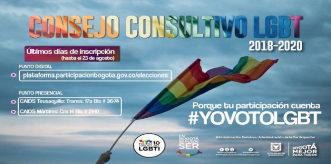 Comunidad _lgbti_ votacion 