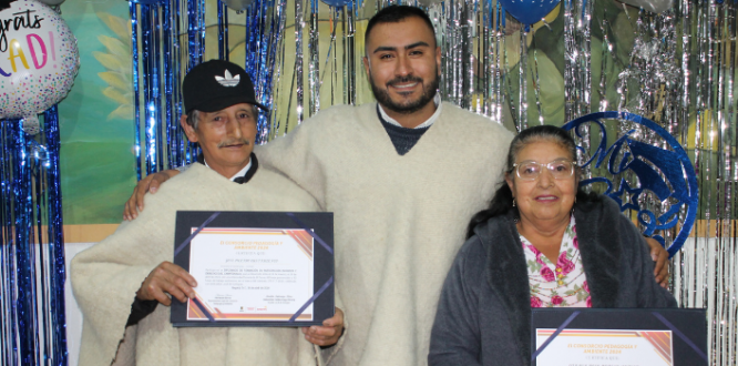 Grados de diplomado en Formación en participación incidente y derechos