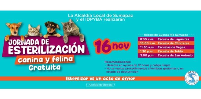Esterilización Canina y Felina