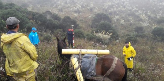 delimitación en PNN