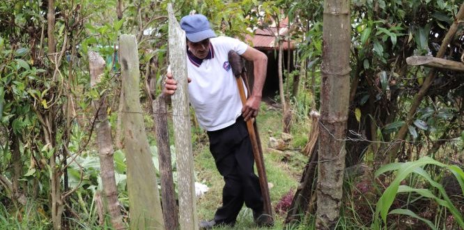 Genaldo realiza sus actividades diarias con normalidad