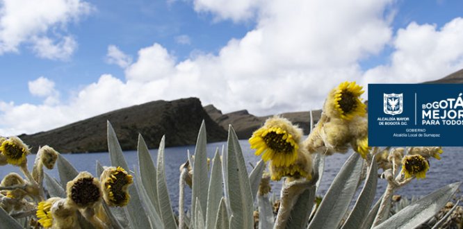 NOTICIA DE SUMAPAZ 