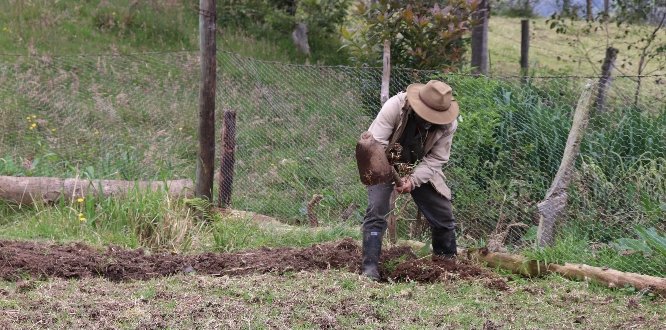 Paz y reconciliación en Sumapaz Campesino labrando la tierra