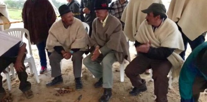 concurso del mejor pela papa