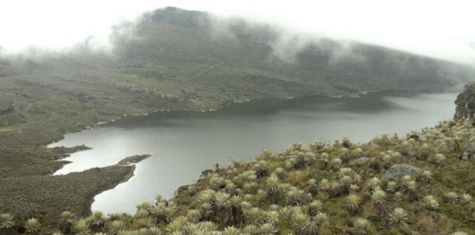 Desminado y ecoturismo en el Páramo del Suamapaz son temas diferentes.