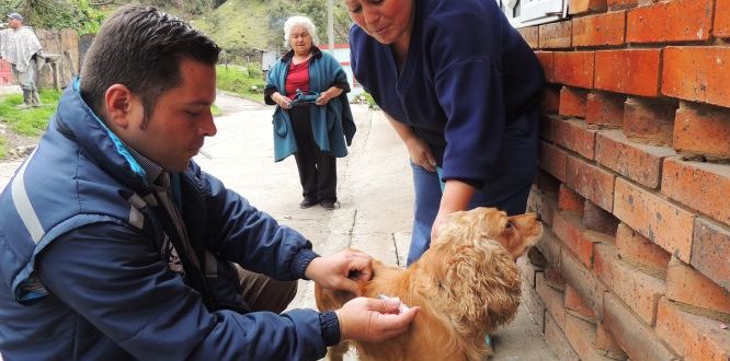 Vacunación de mascotas en las veredas Tunal Bajo y Concepción