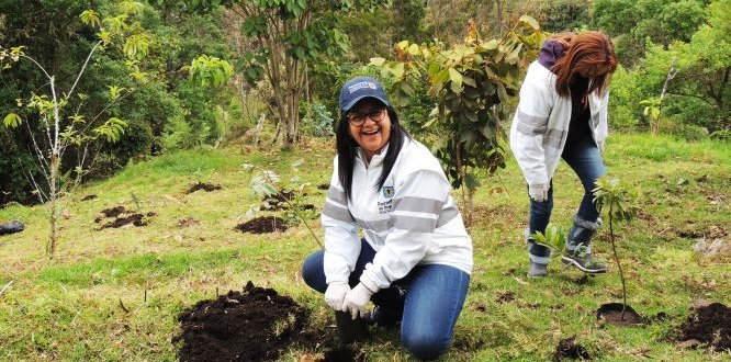 Plantatón presidida por la administración local, a la cual asistió la Personera Distrital