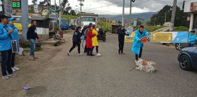 Por medio de campañas se busca disminuir la accidentalidad de mascotas en vías