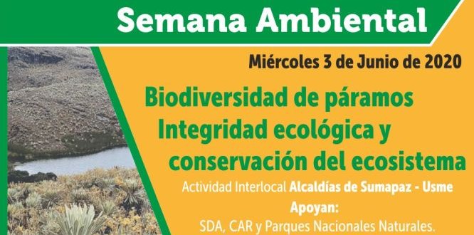 Tercer día de la Semana Ambiental Tercer día de la Semana Ambiental