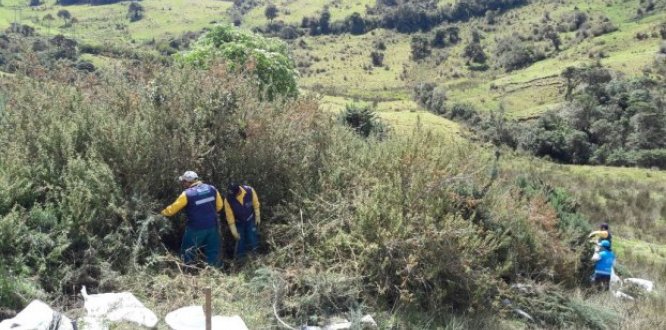 La Alcaldía Local de Sumapaz a través de la Unidad Local Asistencia Técnica Agropecuaria ULATA