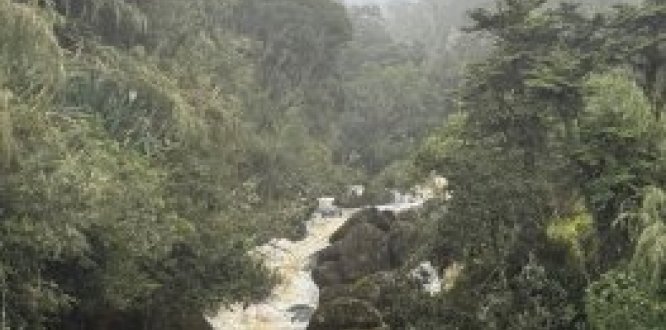 Emergencias por temporada invernal