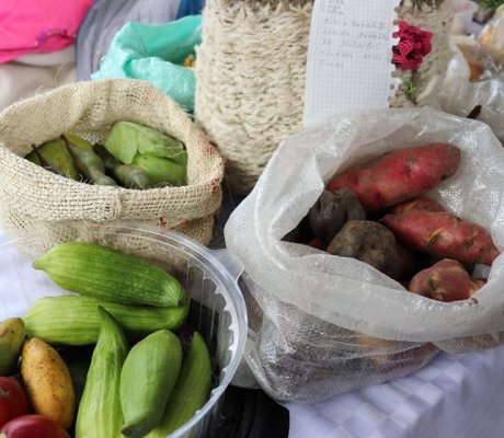 Día del Campesino y la Campesina 2019