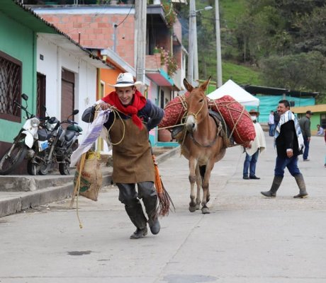 Día del Campesino y la Campesina 2019