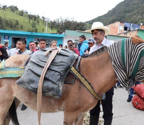 Día del Campesino y la Campesina 2019