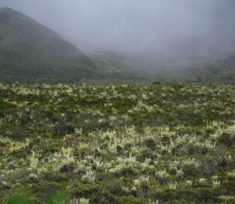 La alcaldía local de Sumapaz llevará a 80 personas con discapacidad a Cartagena