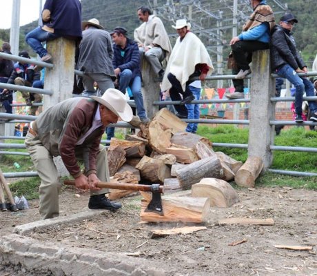 Día del Campesino y la Campesina 2019