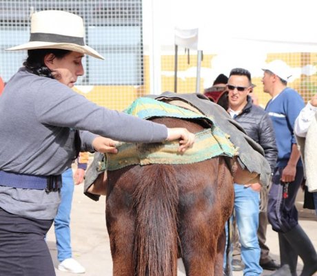 Arrieros y Arrieras sumapaceños 