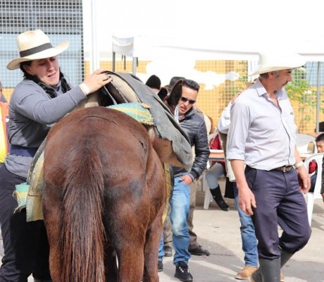 Día del Campesino y la Campesina 2019