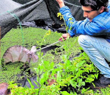 Jóvenes rurales entraron a la U. para romper la brecha educativa.