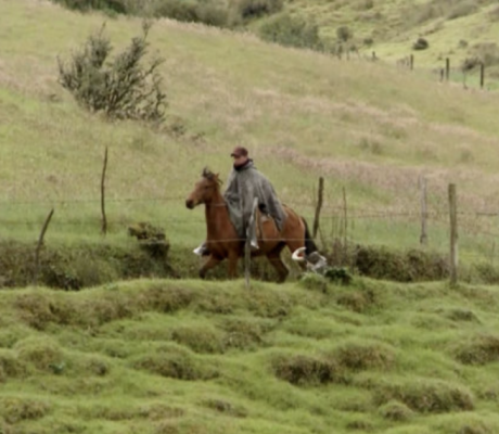 Campesino. Fuente: Canal Capital