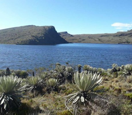 Páramo de Sumapaz