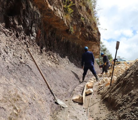 Obras de bioingeniería en Tunal Bajo