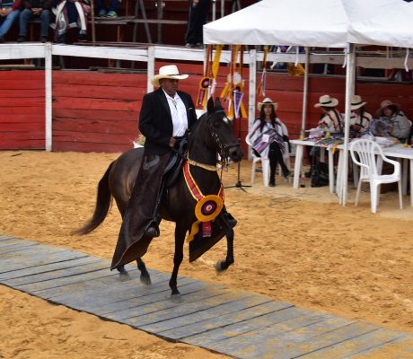 En el tercer día se desarrolló la exposición equina, dando cierre a este evento