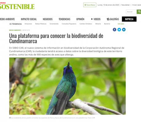 La ciudadanía ahora podrá consultar las especies de flora y fauna de Cundinamarca en una plataforma. Foto: CAR