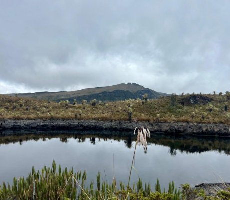 Foto Prensa Alcaldía Local de Sumapaz