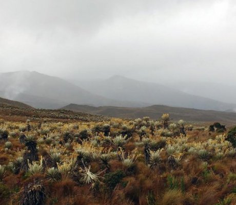 Sumapaz - Radio Nacional