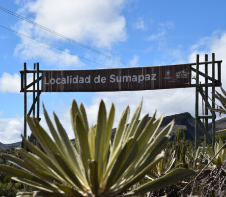 Caracterización de Escenarios de Riesgo