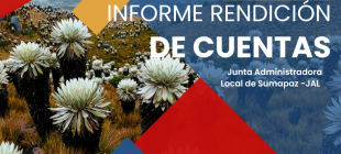 Informe Anual de Rendición de Cuentas JAL 2024-2025