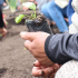 Sumapaz es declarada zona de reserva campesina