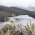 Páramo de Sumapaz, localidad 20 de Bogotá.