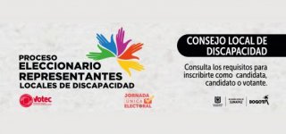 Consejo Local de Discapacidad 